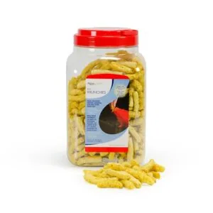 Clear plastic container with red lid filled with yellow corn-based fish food pellets, some scattered in front