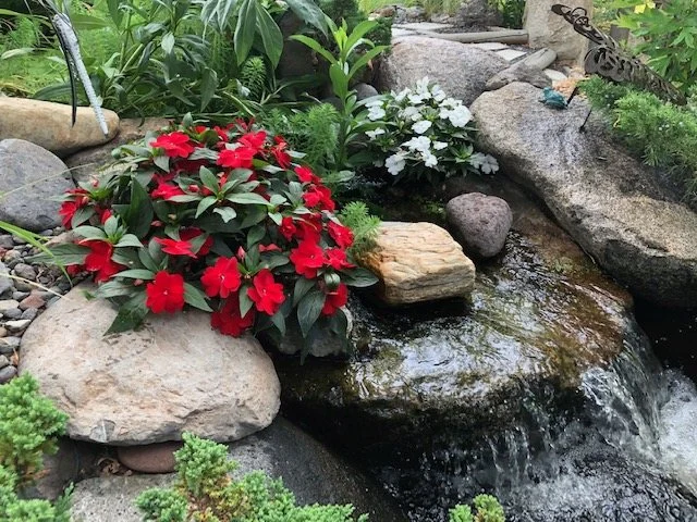 Red flowers planted between boulders beside a small waterfall