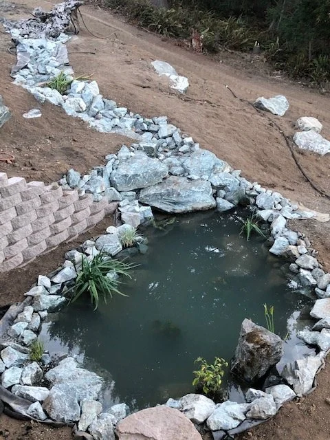 A pond liner laid in a freshly dug pond with stones being set around the edge